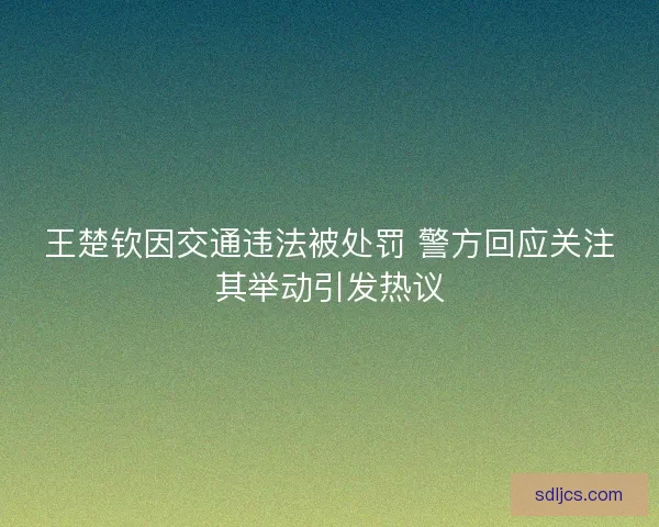 王楚钦因交通违法被处罚 警方回应关注其举动引发热议