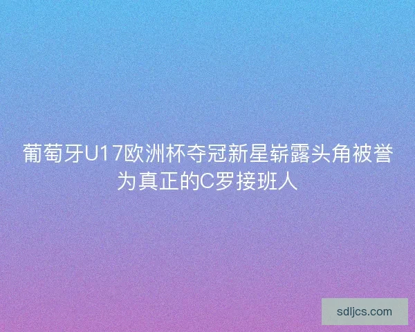 葡萄牙U17欧洲杯夺冠新星崭露头角被誉为真正的C罗接班人 葡萄牙U17欧洲杯夺冠新星崭露头角被誉为真正的C罗接班人