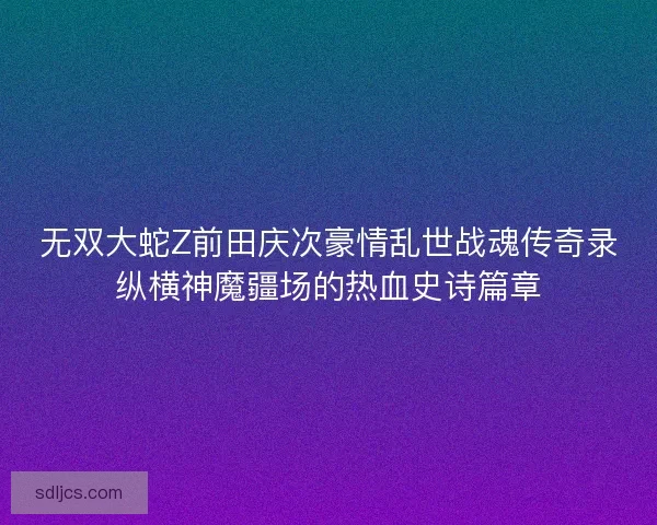 无双大蛇Z前田庆次豪情乱世战魂传奇录纵横神魔疆场的热血史诗篇章