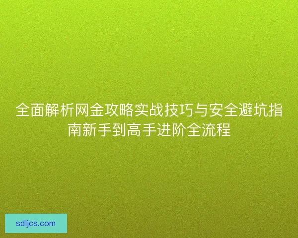 全面解析网金攻略实战技巧与安全避坑指南新手到高手进阶全流程 全面解析网金攻略实战技巧与安全避坑指南新手到高手进阶全流程